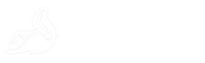 AI Governance Platform